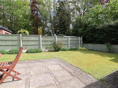 Picture 11